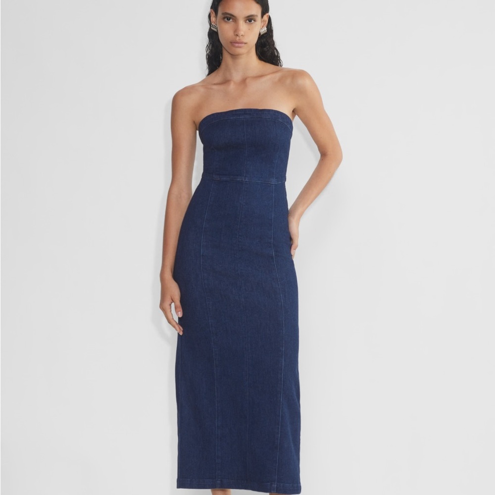 Aritzia Fitted Strapless Denim Dress